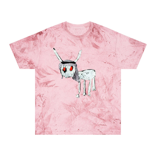 Lil Palestine Vintage Wash